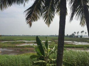 Kerala